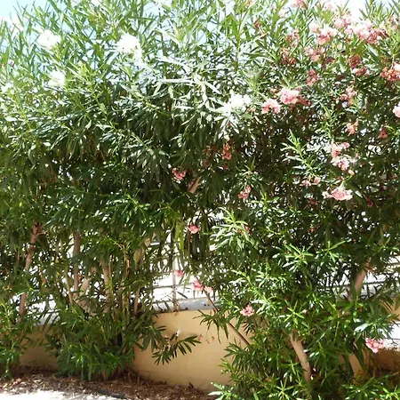 Apartament Fay's Rethymnon
